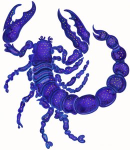 Akrep, 1996,(mürekkep ve guaj) by Jane Tattersfield