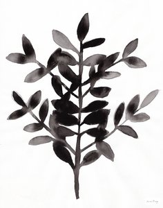Nagi Fern ile Botanik III (kağıt üzerine mürekkep)