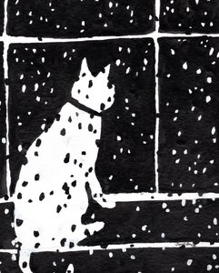  by Janel Bragg