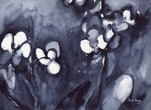  by Janel Bragg