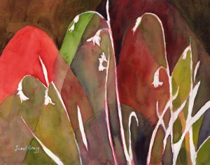  by Janel Bragg