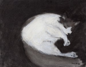  by Janel Bragg