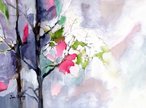  by Janel Bragg
