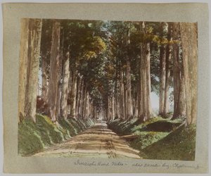 İyi değil Roa d, Nikko, Japonya (El-koure d s / w p sıcak) by Japanese Photographer