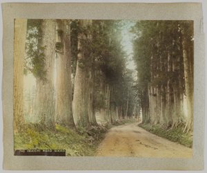 İyi değil Roa d, Nikko, Japonya (El-koure d s / w p sıcak) by Japanese Photographer