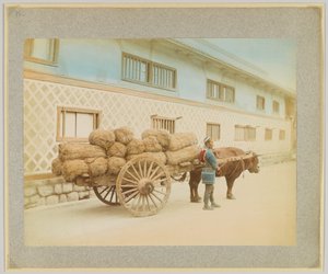 Öküz ve arabalı adam, Japonya (el boyaması s/b fotoğraf) by Japanese Photographer