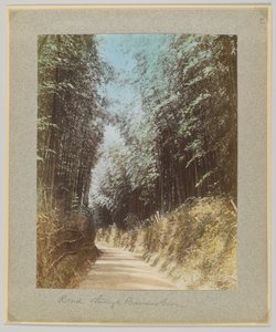 Bambu korusunun içinden geçen yol, Japonya (el boyaması s/b fotoğraf) by Japanese Photographer