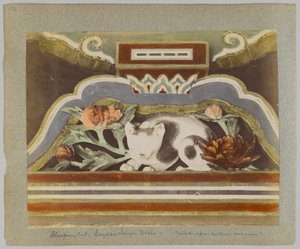 Uyuyan kedi, Tōshō-gū, Nikko, Japonya