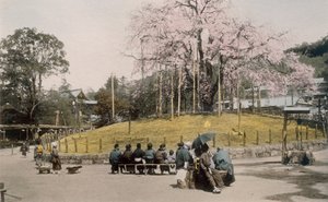 Maruyama