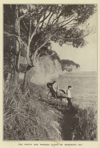 Mississippi Körfezi