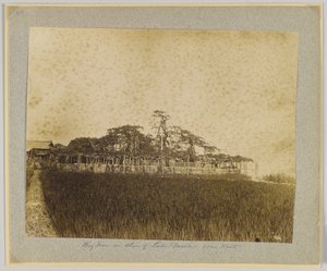 Japonya, Kyoto yakınlarındaki Biwa Gölü kıyısındaki ağaçlar (s/b fotoğraf) by Japanese Photographer