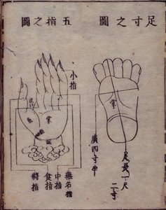 16029.b.5 fol.15v Akupunktur üzerine Çinli bir çalışmanın Japon yorumundan, el ve ayaklardaki akupunktur noktalarını gösteren diyagram, 1341 Shisijing fahui, Hua Shou, Kyoto by Japanese School