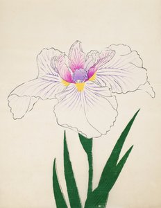 Ortaya çıktı. -Ul, of. 10, 1898 by Japanese School