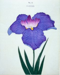 El-Gasa, no.19, 1898