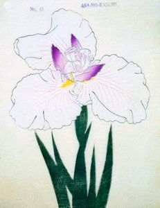 Sığ. -Kasumi Arimura. 43, 1898 by Japanese School