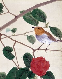 Kuş ve çiçekler. 19. yüzyılın sonlarında Riou Chim tarafından Japon çizimi. by Japanese School
