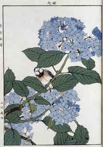 Ortancalarda kuş - Japonca baskı by Japanese School