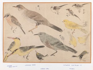 Tokyo Tarzında Kuşlar (tahta blok renkli baskı) by Japanese School