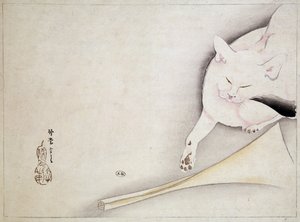 Kedi, Japon çizimi, n.d. 19. yüzyıl. by Japanese School