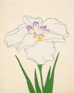 Cho-Hiyen, No. 91, 1890 (renkli tahta baskı) by Japanese School