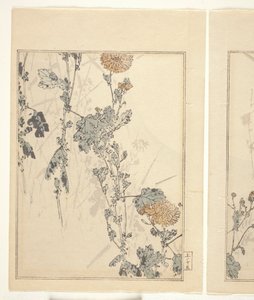 Krizantemler (renkli tahta baskı) (ayrıca bkz. 374401) by Japanese School