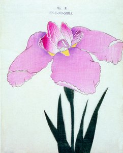 Enuno. -Sora, of. 8, 1898