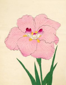 Gofukushoshu, No. 86, 1890 (renkli tahta baskı) by Japanese School