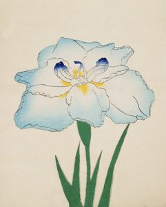Issui-No-Gin, No. 34, 1890 (renkli tahta baskı) by Japanese School