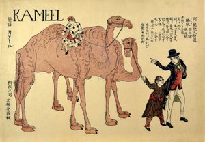 Kamel, bar. 1821 (renkli gravür) by Japanese School