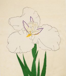 Saç penceresi-hayır. 65, 1890 (Bu DBock p Hayashi t) by Japanese School