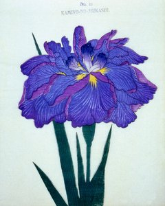 Görüşürüz. -Bir Zamanlar. 16, 1898 by Japanese School