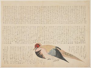 Sülün, c.1818-29 (renkli tahta baskı) by Japanese School