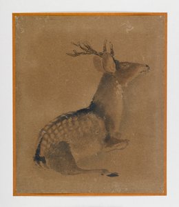 Yaslanmış geyik (kağıt üzerinde mürekkep ve sepya) by Japanese School
