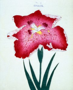 Senjo ile. 5, 1898 by Japanese School