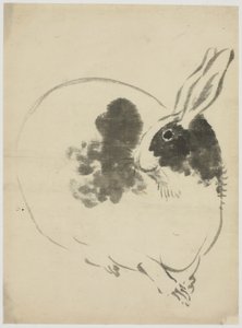 benekli tavşan by Japanese School