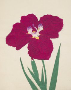 Tai-Hei-Raku, No. 18, 1890 (renkli tahta baskı) by Japanese School