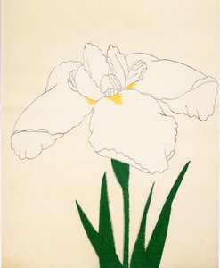 Bir asma-kazak. 33, 1890 (Bu DBock p Hayashi t) by Japanese School