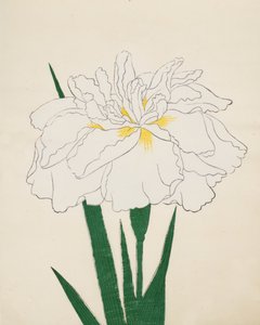 Ujaku-No Nagisa. 61, 1890 by Japanese School