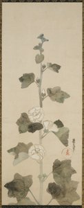 Beyaz gülhatmi, Edo dönemi, 1615-1868 (kağıt üzerinde mürekkep, renk tonu ve altın) by Japanese School