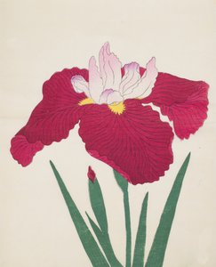 Yamamatayama, No. 83, 1890 (renkli tahta baskı) by Japanese School
