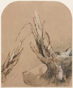 Blasted Tree recto Floorplan verso, 1851.