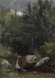 Bir Yamaçta Ağaçlar ve Bir Dere