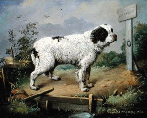 Bir Dolgu Üzerinde Bir Newfoundland by Jean Baptiste Desgrange