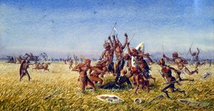 Le Prince Imperial Zululand
