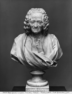 Voltaire büstü (mermer)