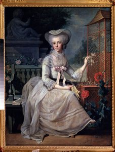""Kafesteki Genç Kadın" (Kafesteki Genç Kadın) Tablosu Jean-Baptiste (Jean Baptiste) Charpentier (1728-1806) 1784 Puşkin Müzesi, Moskova