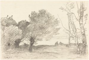 Söğütler ve Ak Kavaklar by Jean Baptiste Camille Corot