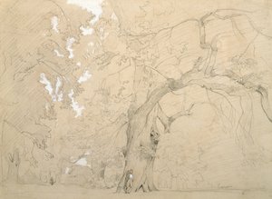 Büyük Meşe Önünde Genç Adam, 1840 dolayları (kağıt üzerine kalem ve guaj boya) by Jean Baptiste Camille Corot