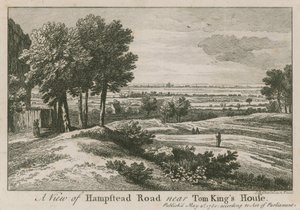 Tom King