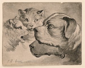 Kedi ve Köpek Başkanları by Jean Baptiste Huet